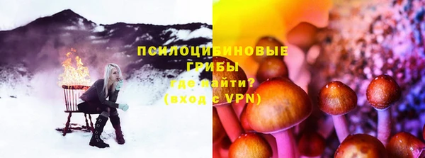 дурь Горнозаводск
