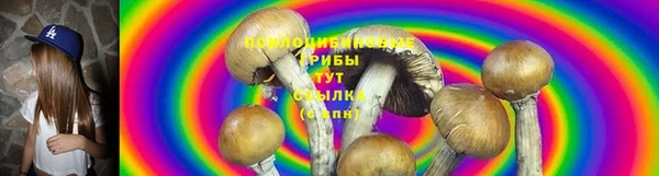 мет Горно-Алтайск