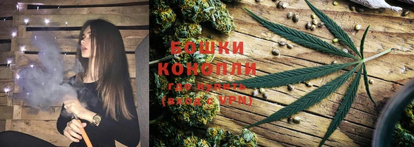 дурь Горнозаводск