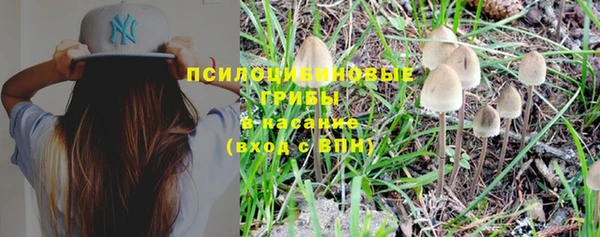 первитин Вяземский
