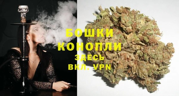 дурь Горнозаводск