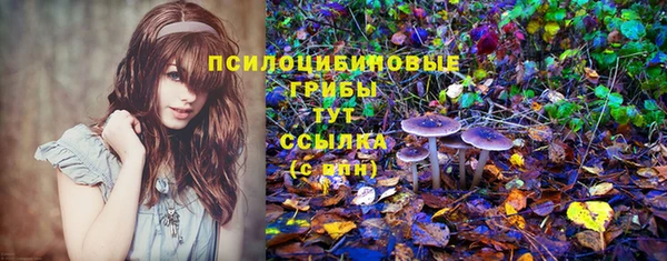 дурь Горнозаводск